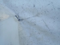 фото thumb №5, Citroen nemo 07- капот крышка двигателя