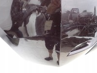 фото thumb №10, Subaru impreza iv gj hb 11- бампер задня задній pdc