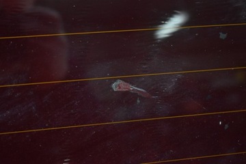 фото thumb №7, Скло зад задня mercedes vito w639 03r