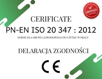 Шлепанцы медицинские черные мужские, размер 47.