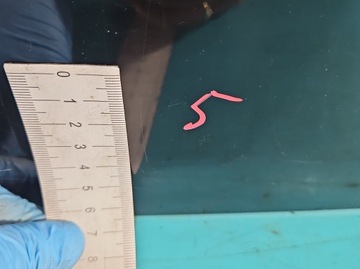 фото thumb №7, Кришка скло багажника зад citroen c4 grand picasso i 06-13 чорний exy