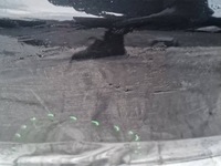 фото thumb №10, Toyota rav4 rav-4 2013 2014 задняя крышка багажника