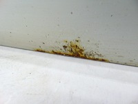 фото thumb №9, Дверь правое правый перед передние audi tt 8j цвет ly9c