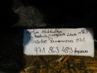 Молдинг накладка порог передняя левая porsche 971 1 Оригинал, фото thumb