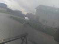 Капот крышка двигателя renault megane iv lek повреждённая nr lak tekpn Киев, фото thumb