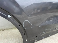 фото thumb №13, Двері santa fe iv 4 od 2018 задня правий