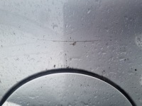 Bmw seria 1 e87 04-07 2004 r. 5d hb a18/7 четверть крыло  правый  задняя pt с Разборки, фото thumb