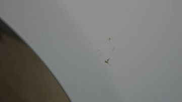 фото thumb №9, Fiat 500 крыло левый перед 294/a b2970