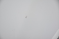 фото thumb №5, Капот крышка двигателя opel insignia a