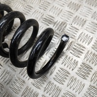 фото thumb №7, Kia ev6 2023 ліва сторона пружина задня