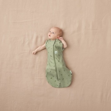 Спальный мешок ergoPouch Swaddle 3-6M 1.0TOG Ива
