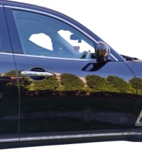 фото thumb №1, Infiniti fx 2 ii 08-12 двері ліва передні лівий перед лак gac