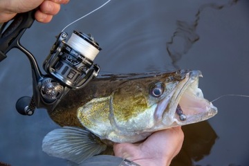 Kołowrotek Abu Garcia Revo ALX Spinning 2500MSH