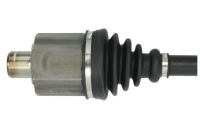 фото thumb №2, Wał приводной pascal g2x030pc