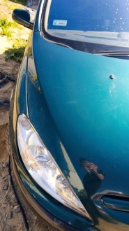 фото thumb №6, Капот peugeot 307