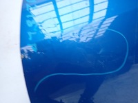 фото thumb №9, Suzuki swift iv 4 10-17 дверь перед передние левая