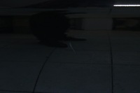 фото thumb №9, Audi a1 i 8x 3d 2010r- двері лівий перед ліва передні ly9b - код лакофарбового покриття