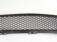 фото thumb №3, Решётка нижняя бампера mercedes slk r171
