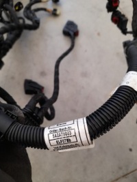 Bmw x5 g05 19- жгут двигателя 733095103aa 3.0 америка с Разборки, фото thumb