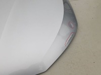 фото thumb №8, Skoda scala 19- капот