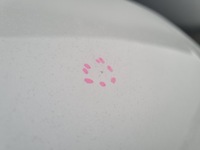 фото thumb №8, Vw arteon 3g8 3g капот кришка двигуна bdb