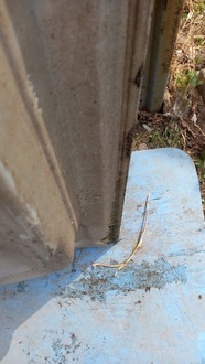 фото thumb №16, Двері перед передні ліва volvo v50 04-12r