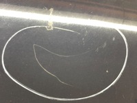 фото thumb №5, Капот mercedes w220 sedan/limuzyna 98-05