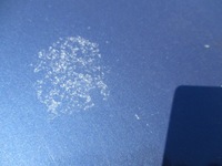 фото thumb №2, Alfa romeo 156 капот перед решітка радіатора 436 blu pegaso