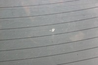 фото thumb №8, Bmw e65 скло кузовна задня задня