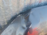 фото thumb №4, Капот кришка двигуна ford mustang vi gt 5.0 2017r