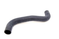 Шланг радіатора верхній legacy outback bs 15- fb25 Доставка, фото thumb
