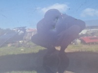 фото thumb №5, Mazda 2 15- двері задня задні праве