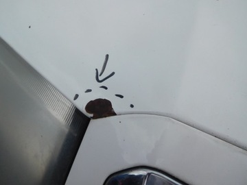 фото thumb №4, Капот skoda fabia i 05r 1026