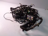 фото thumb №3, Електропроводка салону ford ecosport mk2 1.0 eco boost 2014 rok