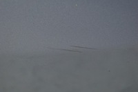 фото thumb №12, Дверь левый задняя hyundai i20 i lift xeu