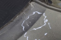 фото thumb №6, Крила правий перед передній ford ecosport ii mk2 lift