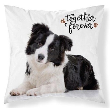 POSZEWKA NA PODUSZKĘ 40x4 BORDER COLLIE PSY PIES dla dziecka dziecięca