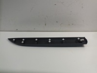 Renault fluence молдинг двері задня ліва 828774426r Зі Шроту, фото thumb