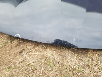 фото thumb №5, Капот крышка двигателя vw passat cc лак: lc9x