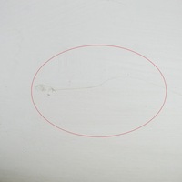 фото thumb №7, Citroen c1 2013 ліва сторона двері передні