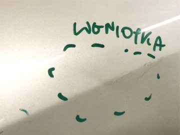 фото thumb №5, Дверь зад задние правые tesla y