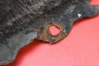 фото thumb №7, Крыло левый перед передний чёрный honda civic 7 vii 00-05