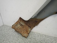 фото thumb №16, Honda fr-v frv крила передній лівий b531m