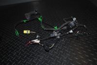 фото thumb №1, Жгут дверь правый перед audi a6 c6 eu 4f1971030ad