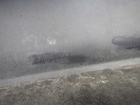 фото thumb №15, Mazda 6 ii gh kombi 07-10 бампер задня задній pdc