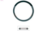 фото thumb №2, Прокладка термостата renault safrane 2.0 16v 00- eps