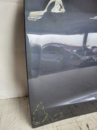 фото thumb №3, Двері ліва передні tesla iii 3