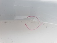 фото thumb №14, Skoda fabia 4 iv 21 2021 жалюзи балка pas переднее