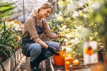 FOLIA NA TUNEL OGRODOWY FOLIOWY 3,5X2 ZAMIENNA TUNELOWA SZKLARNIA FOLIOWA