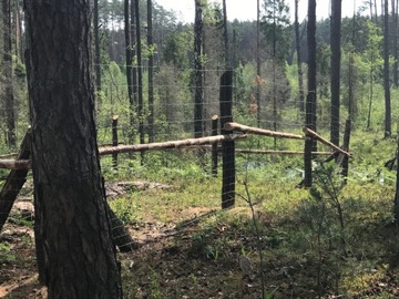 СЕТКА ДЛЯ ЛЕСНОГО ЗАБОРА высота 150см, рулон 50м